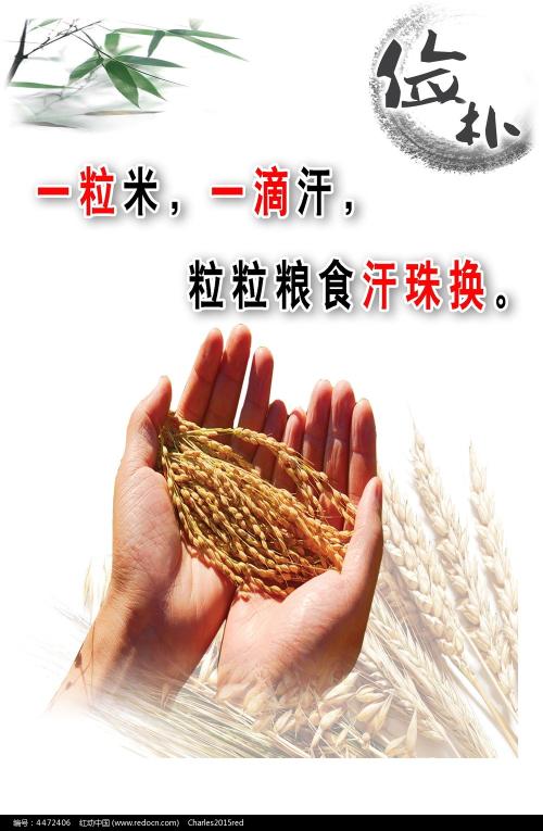 买个假的日本宫崎大学文凭毕业证